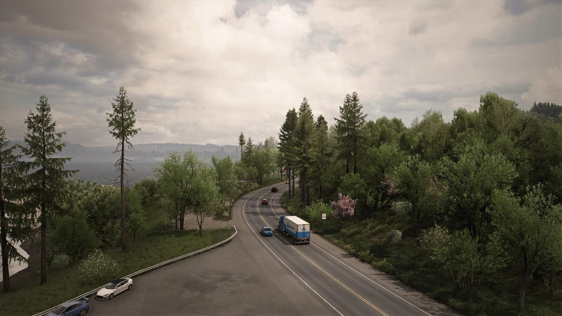 TrueSight Preset Free v1.0 2
