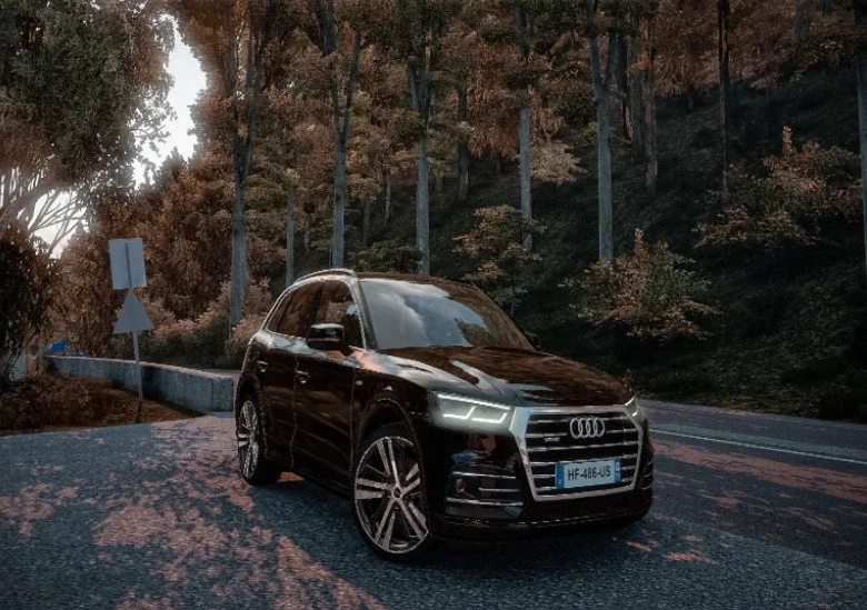 Audi Q5 3.0 TFSI 2020 3.0 v1.1 3
