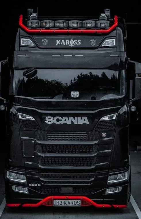 KAROSS Skin for Scania S_2016 v1.0 2