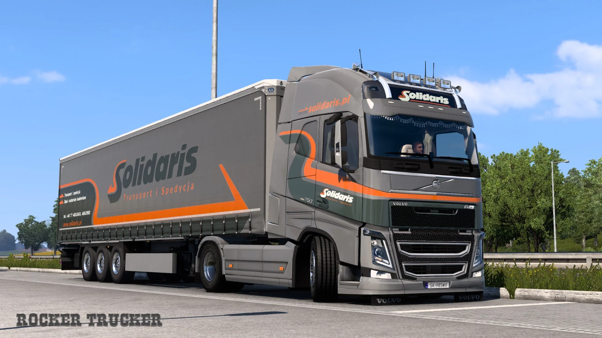 Solidaris Sp. z.o.o Skin Pack v1.1