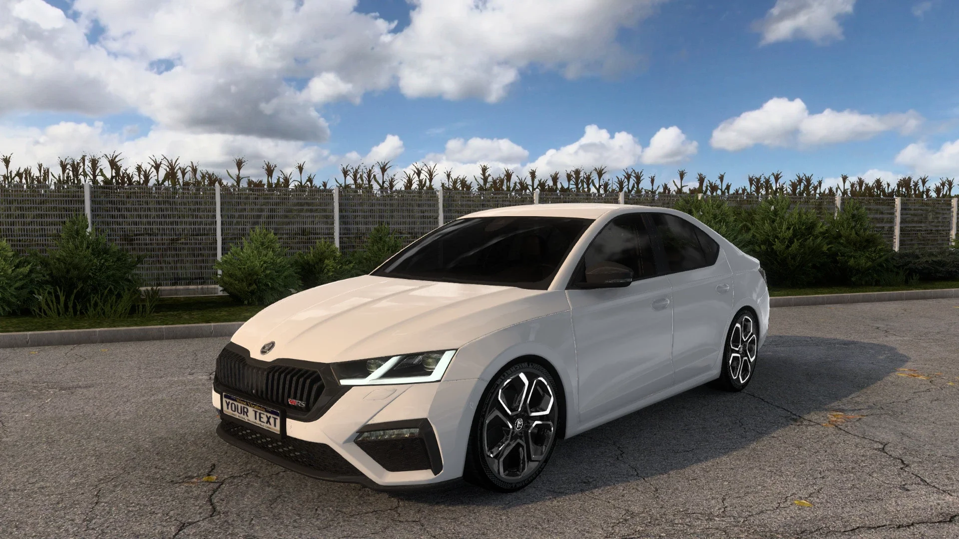 Skoda Octavia RS 2022 v2.9x 3