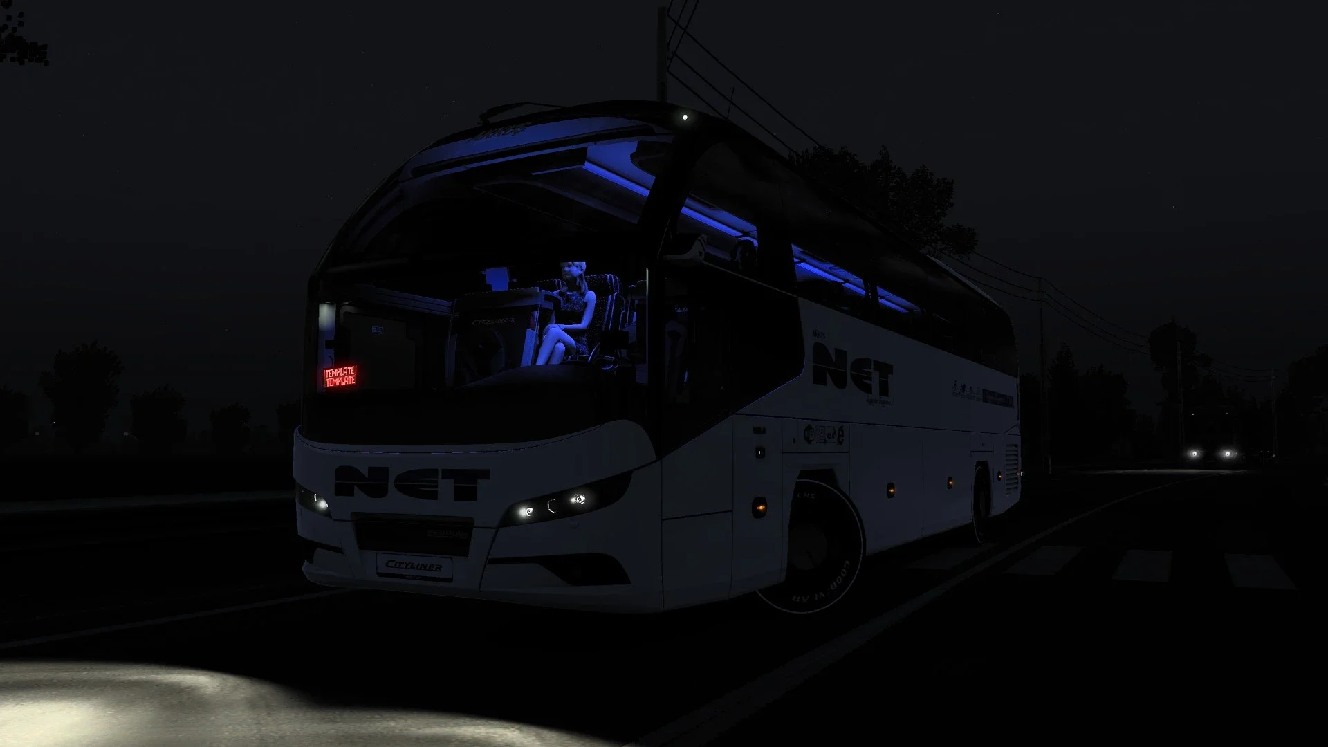 Neoplan Cityliner skinpack v1.0 2