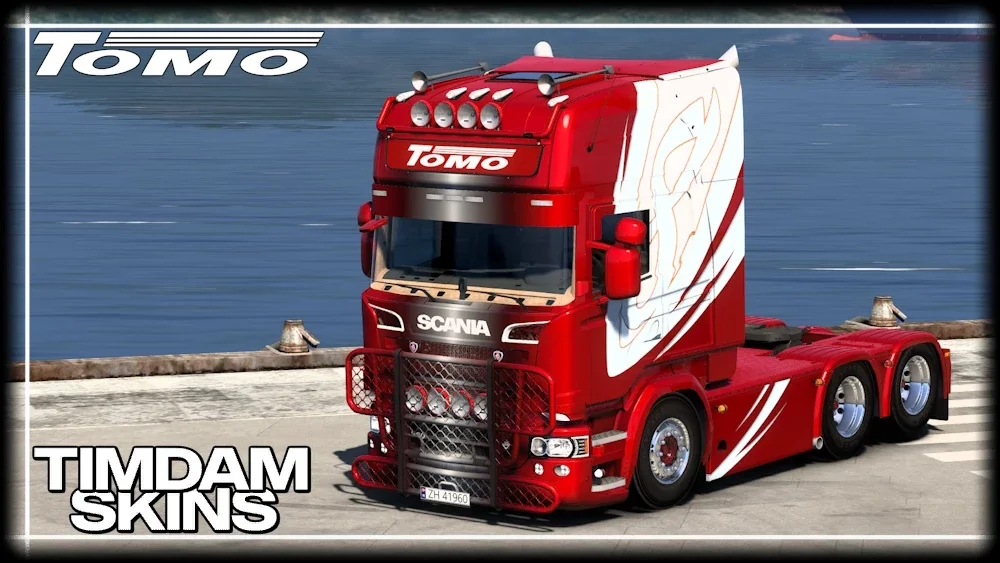Tomo Transport Skin v1.0 3